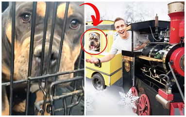 A Magical Christmas Train Built to Help Homeless Dogs Find Homes