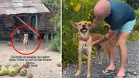 Dog Chained Up for 18 Months Finally Finds His Dream Family