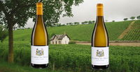 Wine Of The Week: Domaine du Nozay Sancerre Blanc ‘Chateau du Nozay’