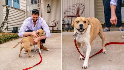 This Dog’s Reaction to Seeing His Owner After 60 Days in Rehab Will Melt Your Heart