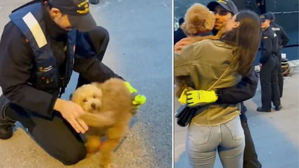 This Dog’s Emotional Reaction to Seeing His Military Dad Again Is Pure Love