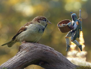 Medford photog combines toys with nature and the results are astounding