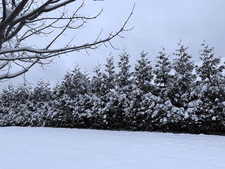 NWS: Long Island sees over 3 inches of snow; more snow and rain expected