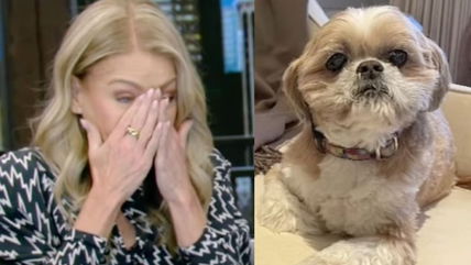 Kelly Ripa Breaks Down On Live TV Over The Death Of Her 17 Beloved Year-Old Dog – ‘She Gave Us So Much’