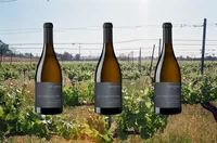 Wine Of The Week: 2021 La Crema Chardonnay Kelli Anne Vineyard