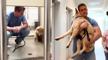 Tears of Joy: Watch the Moment a Traumatized Dog Leaves the Shelter for a Fresh Start