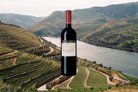 Wine Of The Week: Casa Ferreirinha Quinta da Leda