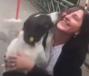 Dog Reunites with Family After 3 Years—The Reaction Will Melt Your Heart