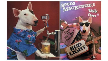 From Taco Bell to Target: 8 Brands That Struck Gold with Dog Mascots