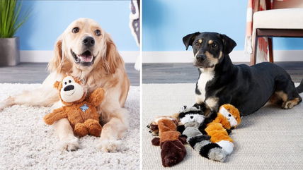 9 Squeaky Toys That Will Keep Your Dog Entertained for Hours