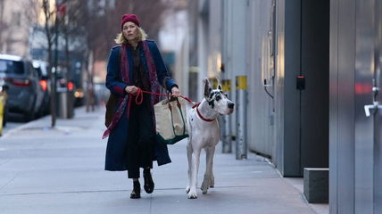 The Friend Filmmakers on Working With Naomi Watts, Bill Murray and a Big Dog Named Bingo