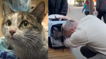 Altadena Man Cries With Joy After Reuniting With Cat Who Went Missing During LA Wildfires