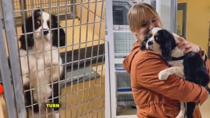 Shelter Dog’s Overwhelming Joy After Finally Finding a Home Will Bring You to Tears