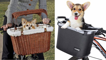 The 6 Best Bike Baskets for Small Dogs on Amazon