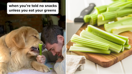 Watch What Happens When This Golden Retriever Eats Celery—Hilarious Reaction.