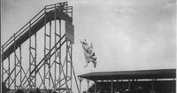 Diving Horse Shows Were One Of The Most Unusual And Controversial Forms Of Entertainment In The Late 19th Century