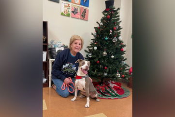 County pet shelter’s longest resident finally adopted just in time for Christmas