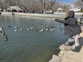 20 birds found dead on East Patchogue beach, bird flu suspected