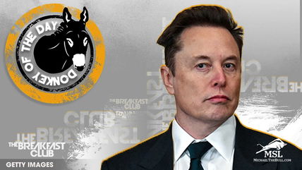 Elon Musk Awarded Donkey Of The Day