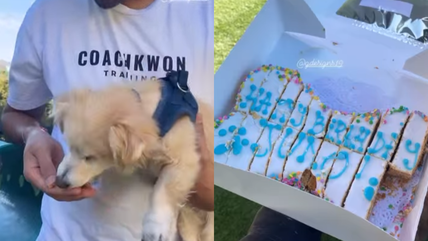 Watch This Senior Dog’s EPIC Birthday Cake Bash!