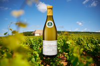 Wine Of The Week: Louis Latour Corton-Charlemagne Grand Cru