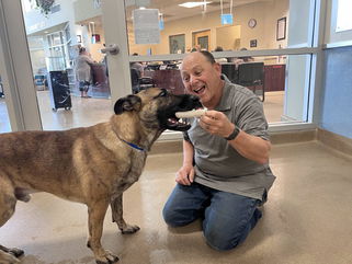 No One Wanted Shelter Dog Roofus—Now He’s Loved and Running Free on a 2-Acre Farm!