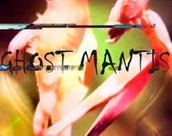 Mister Misk & Kromeatose “Ghost Mantis” (Video)