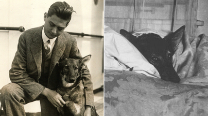 The 1st Guide Dog: How a German Shepherd Changed the Lives of the Visually Impaired