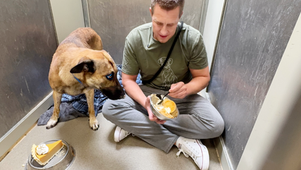 Sharing Thanksgiving with a Shelter Dog that was Drugged – Maybe Intentionally 😔