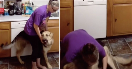 Incredible Video Shows Service Dog Protecting Mom During A Seizure