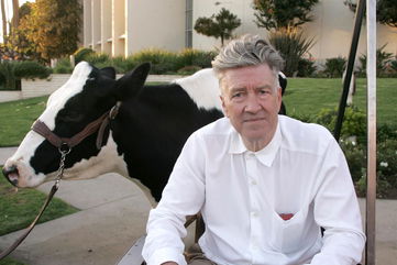 15 David Lynch Quotes to Live and Create By